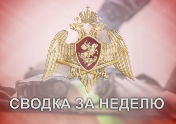 ��������������� �����������-�������������� ������: