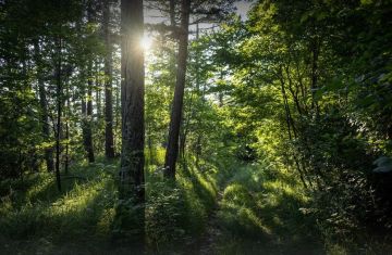 В ДНР расчищено 12 километров русел рек и 3,6 тысячи гектаров озёр в рамках федпроекта «Вода России»