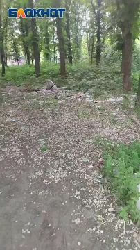 ������ ����� �� �������� � ������� ������������ ������ � �������� ����