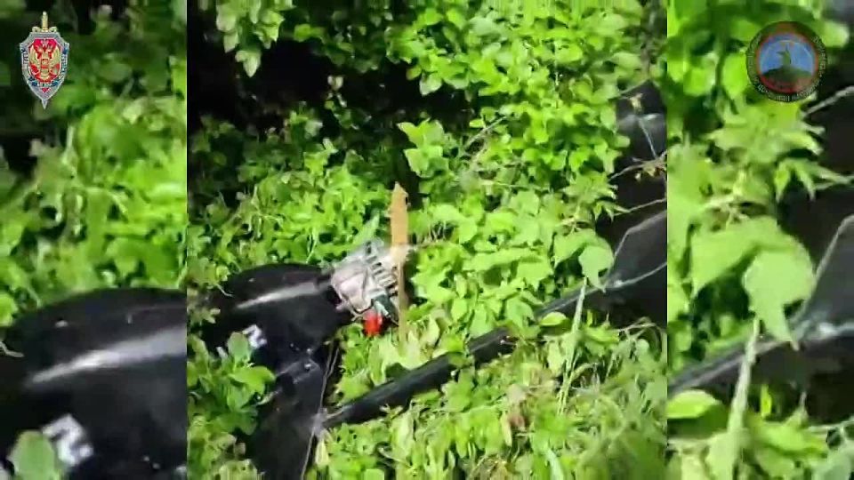 Системой «Купол Донбасса» и сводными мобильными огневыми группами за неделю предотвращены 63 террористические атаки со стороны противника
