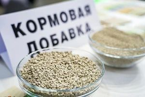 Управление Федеральной службы по ветеринарному и фитосанитарному надзору по Донецкой Народной Республике и Луганской Народной Республике информирует, что Россельхознадзором принято решение о приостановлении с 23.05.2026...
