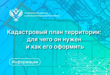 Кадастровый план территории (КПТР) – это не просто формальный документ, но и фундамент для множества операций с недвижимостью