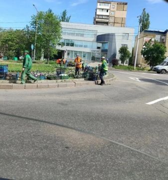 Сегодня предприятием "Зелёное строительство" высажена петуния по бульвару Шевченко Калининского внутригородского района