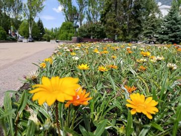 27 мая в Донецке:. переменная облачность, днём кратковременный дождь