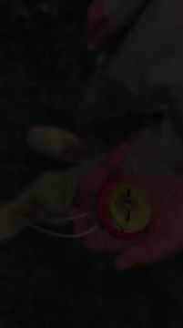 лет в одном строю. 28 мая Всероссийскому детско-юношескому движению «ЮНАРМИЯ» исполнится десять лет