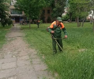Наталья Бегуненко: В Петровском районе коммунальные предприятия приняли активное участие в акции Чистый четверг
