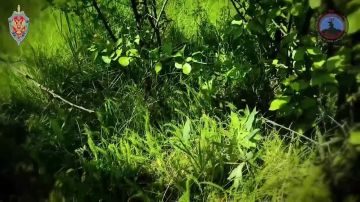 ��� ��� ���� ���� �� ���������������, ���, ��������������� ����� � ������������ �������� � ���