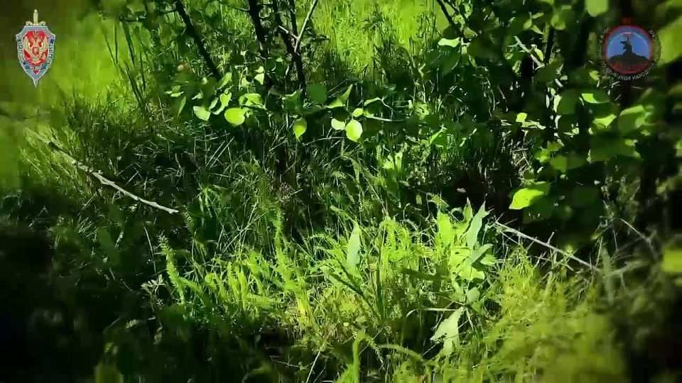БПЛА продолжают атаковать мирное население, электростанции, АЗС, железнодорожные узлы, фильтровальные и водонапорные станции в ДНР