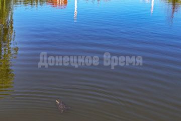 � ���� ��������� �������: � ����� ����� �������� ������ ������� �������� ���������