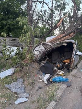 Машину разорвало надвое об дерево на въезде в посёлок Осипенко в Макеевке