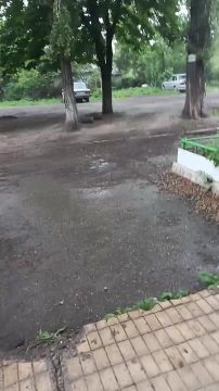 � �������� ������ ����� � ������, ����� � ��������� ����� ������� ���� ��������