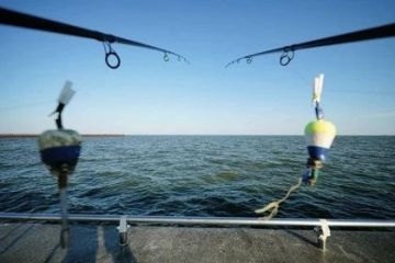 Не больше пяти крючков на удочке и никаких сетей: В ДНР сняли нерестовый запрет на ловлю рыбы