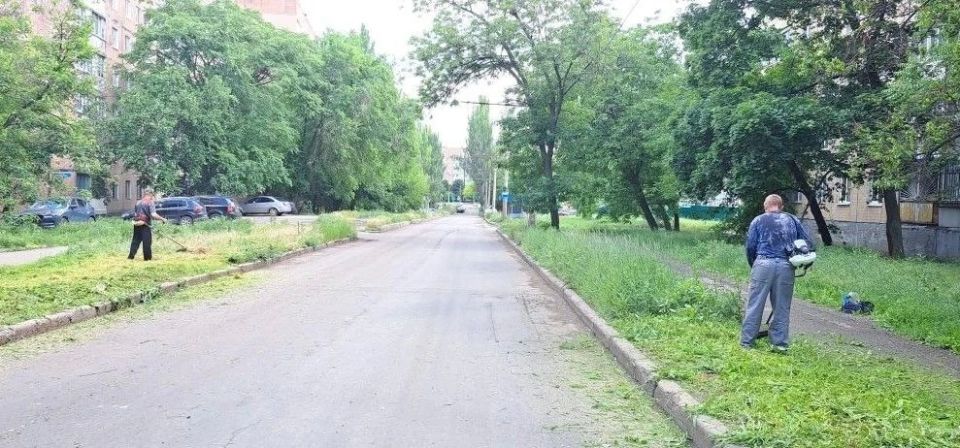Елена Рязанцева: Управой Пролетарского внутригородского района сегодня ведутся работы по покосу травы вдоль дороги по ул. Раздольная