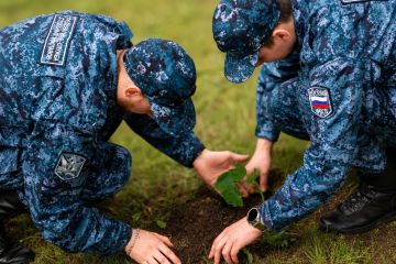 Судебные приставы ДНР высадили «императорские деревья» в честь Дня России