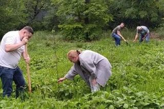 Ко Дню России в ДНР заложили липовую аллею
