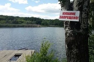 «Прыгали с моста в водоем»: В МЧС рассказали обстоятельства гибели подростка в парке имени Щербакова в Донецке