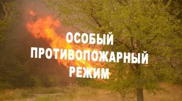 ����������� ����������� ������ ������������� ���������� ������ ������ ����������, ��� � 1 ���� �� 1 ������� 2026 ����� ������������ � �������������� ������������� �������� �������� ���������� �� 07.05.2026 �37-9 ���...