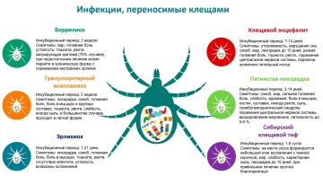 Федеральное бюджетное учреждение здравоохранения "Центр гигиены и эпидемиологии в Донецкой Народной Республике" напоминает