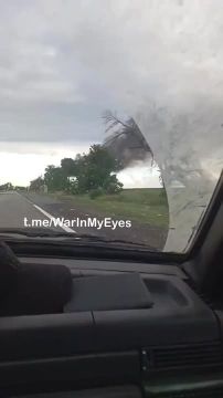 ���� ��� ����� ������ �� �������� ���� � ���������, ����� ��������