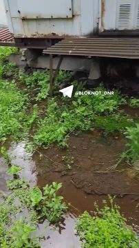 Два месяца порыв топит трансформаторную будку на территории школы №35 в Горловке