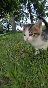 Бежим радоваться долгожданной хорошей погоде!