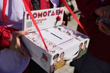 Помочь легко: жители ДНР могут присоединиться к акции «Красная гвоздика»