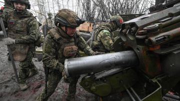 "Нужно дожать Белицкое, обойти Доброполье и взять Сергеевку": военный эксперт о задачах "Центра"