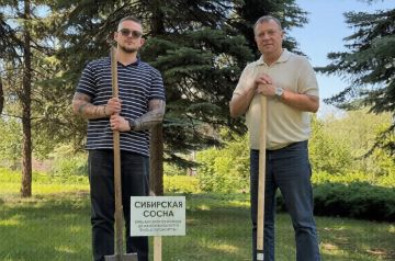В донецком парке Щербакова высадили саженец сосны к юбилею Красноярска