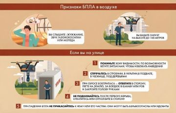 Наталья Бегуненко: Уважаемые жители Петровского района