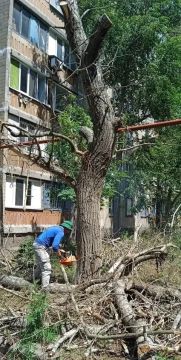 Наталья Бегуненко: В Петровском районе коммунальные предприятия приняли активное участие в акции Чистый четверг
