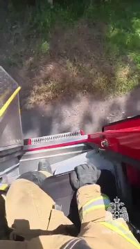 ���� ������� ����� �� ���� �������� � ��������