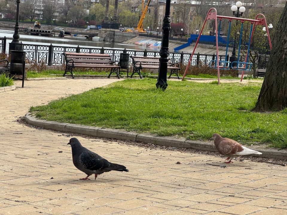 Возможен небольшой дождь с грозой: Какой будет погода в Донецке 19 июня 2026 года