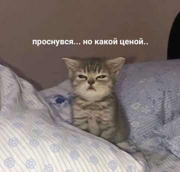 Двое молодых парней угнали машину в Урзуфе и