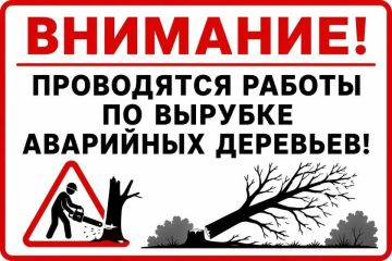 Елена Рязанцева: Сегодня, 24 июня с 10:00 до 16:00, в связи с проведением работ по сносу аварийных деревьев вдоль дороги по ул. Иноземцева, будет затруднен проезд транспорта на данном участке дороги