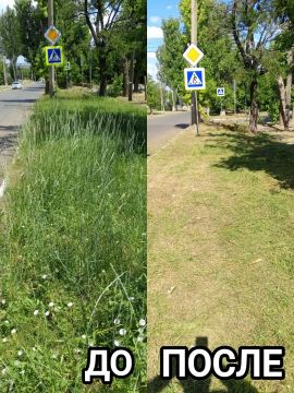 В Старобешевском округе продолжаются работы с сорной растительностью