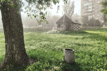����� ��������: ��� ������ ������. ������, ������