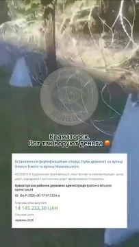 ����������: �������� ����� ������ �������� �� 14 ��� ���