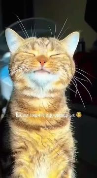 ��� �� �������� ������ � ��������