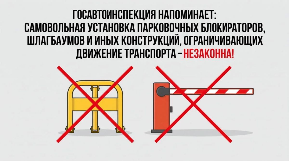 Самовольно установленные парковочные блокираторы, шлагбаумы и иные конструкции, ограничивающие движение транспорта, подлежат демонтажу