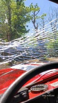 �������� ���������� ��� ������ �������� ����������� � ������� ����� ���� � ���