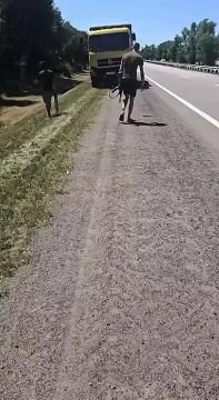 ������� ���� Hornet ���������� � �������� � ������� � ����� �� ���������
