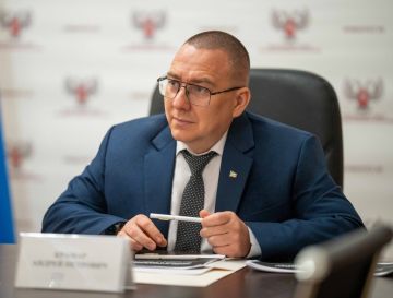 В Народном Совете обсудили меры поддержки материнства и многодетных семей в ДНР