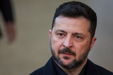 Шеремет назвал «страхом балабола» реакцию Зеленского на освобождение Константиновки