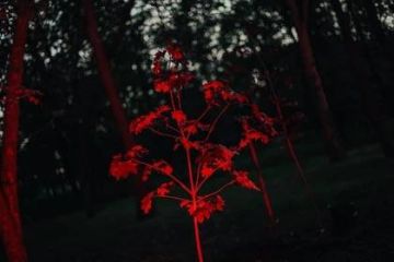 � ��� ������� ����� ���� ����� ������� ������ � ������ � �������� �������