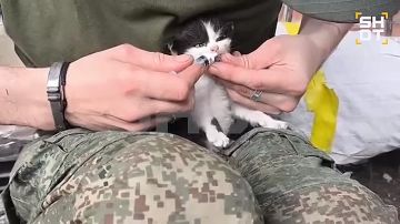 ����� �������� ����� ������ ������ ������ ���� ���������� ���������� ������