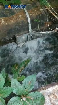 �� ���������, 21 �� ����� ������ ���� ���� ��������� ������