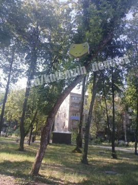 � ���������, � ����� ��������� ����� ������������� ������ ����� ���������� ���������: �� ���� ��� ����������� ������� ������� ��������