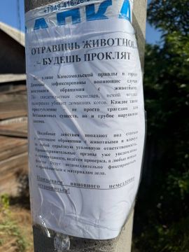 В Калининском районе Донецка на ул. Комсомольской Правды ищут живодера, который убивает котиков