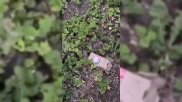 На придомовой территории многоквартирного жилого дома по проспекту Офицерский в результате выполнения ремонтных работ остались фрагменты кровельного мусора
