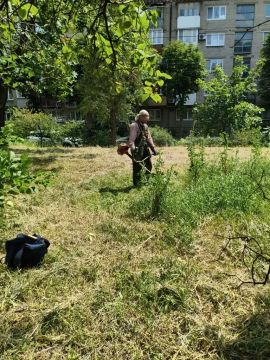 В Калининском внутригородском районе коммунальные службы выполнили покос сорных и карантинных трав на балансовых объектах